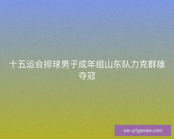 十五运会排球男子成年组山东队力克群雄夺冠